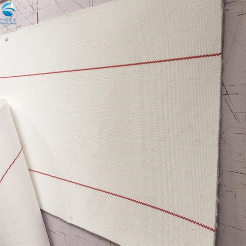 廣東無縫環形帆布輸送帶 食品級帆布帶